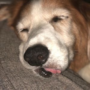 Meet your Posher, Mark